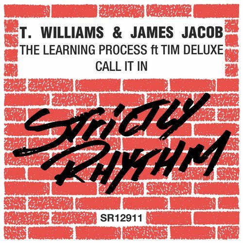 image cover: T. Williams, James Jacob - The Learning Process / Strictly Rhythm - SR12911D