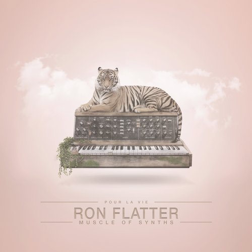 image cover: Ron Flatter - Muscle Of Synths / PLV032