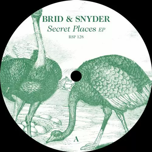 image cover: Brid & Snyder - Secret Places EP / RSP128
