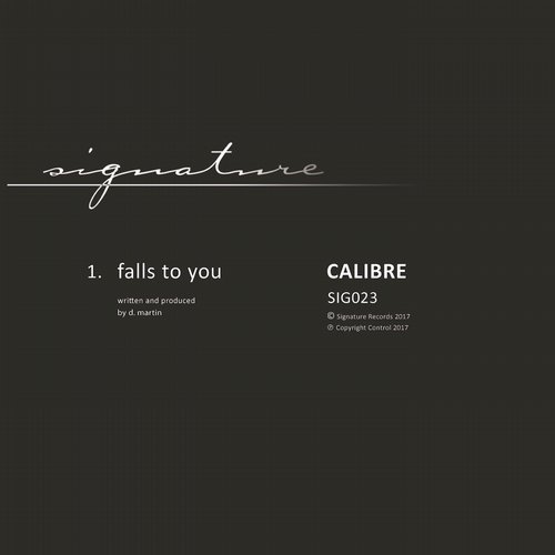 image cover: Calibre - Falls to You / SIG023