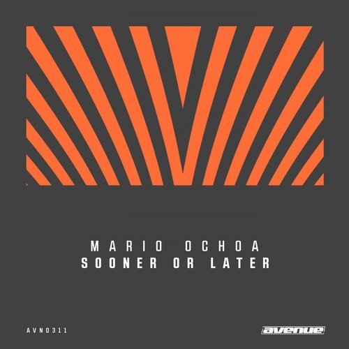 image cover: Mario Ochoa - Sooner Or Later / AVND311