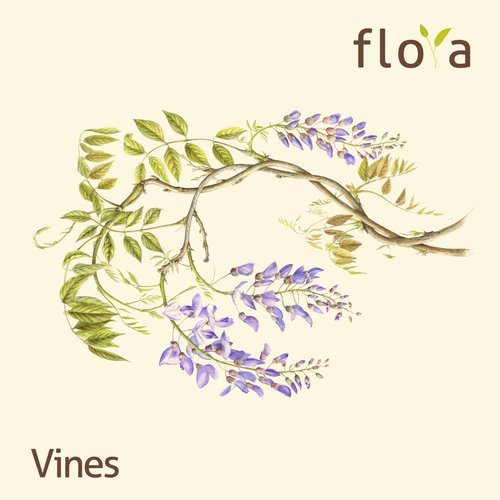 image cover: VA - Vines / FL019