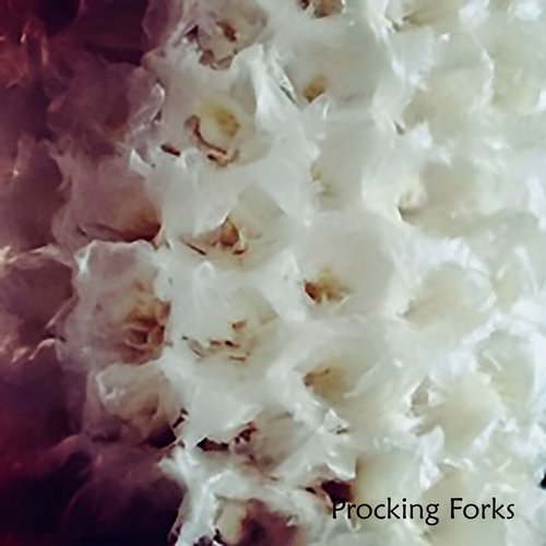 image cover: FORM1 - Procking Forks / FM002