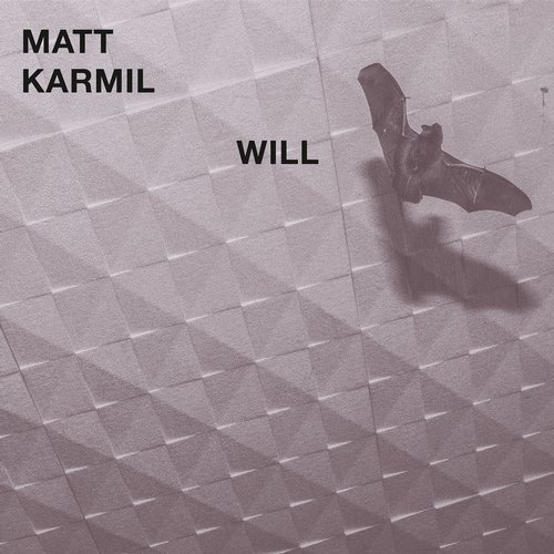image cover: Matt Karmil - Will / STS327D