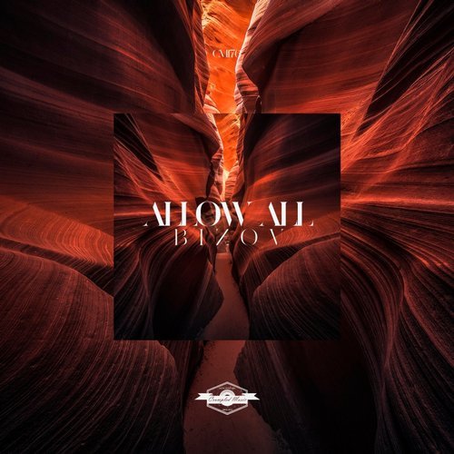 image cover: Bizov - Allow All / CM176