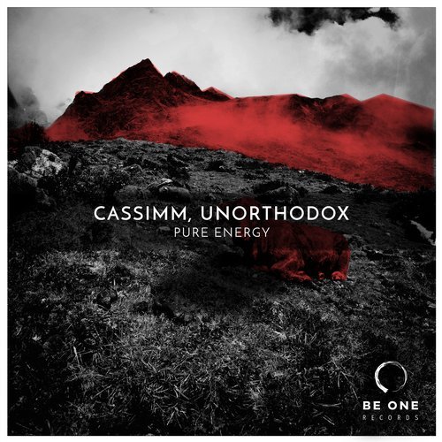 image cover: CASSIMM, Unorthodox - Pure Energy / BOR264