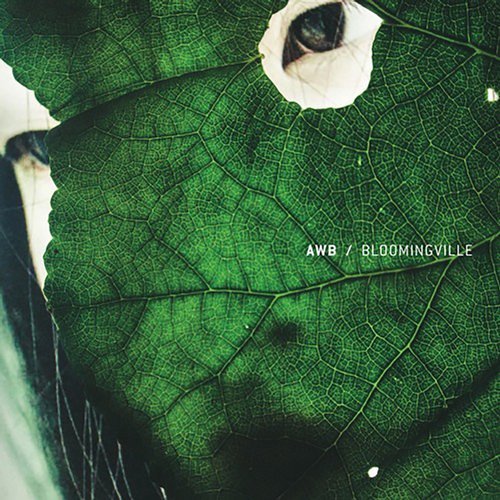 image cover: AWB - BLOOMINGVILLE (Incl. Peter Van Hoesen Remix) / BLCS004