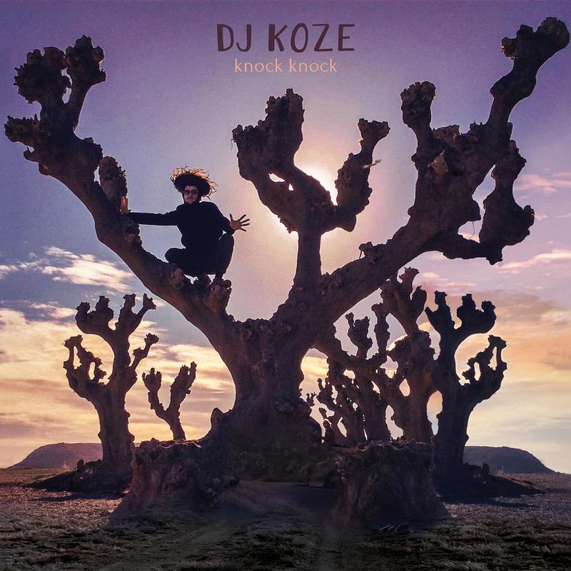 image cover: DJ Koze - Knock Knock / PAMPA RECORDS