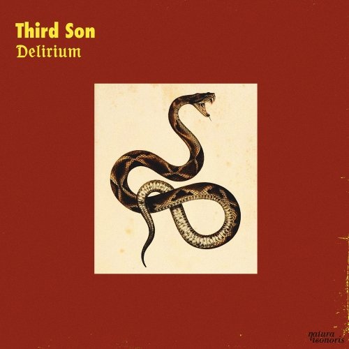 image cover: Third Son - Delirium / NS082