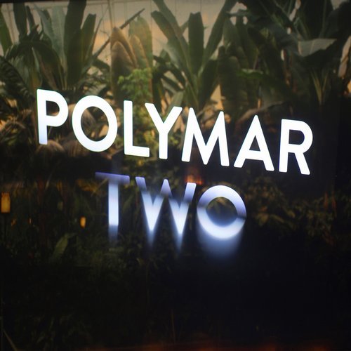 image cover: Kelpe - Polymar Two / DRUT010