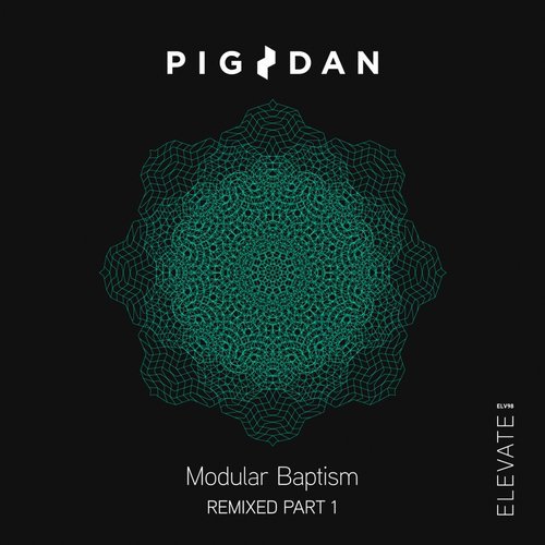 image cover: Pig&Dan - Modular Baptism Remixed, Pt. 1 / ELV96PT1