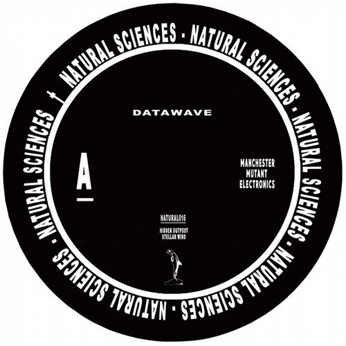 image cover: Datawave - Datawave / NATURAL016