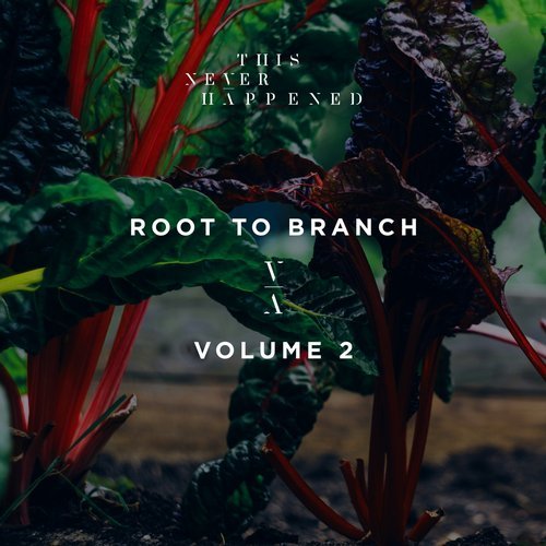 image cover: VA - Root to Branch, Vol. 2 / TNH008E