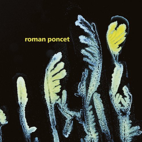 image cover: Roman Poncet - Gypsophila / FIGURELP02