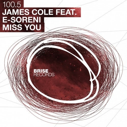 image cover: James Cole - Miss You / BRISE10005