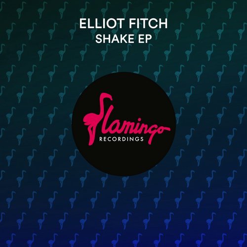 image cover: Elliot Fitch - Shake EP / FLAM264D