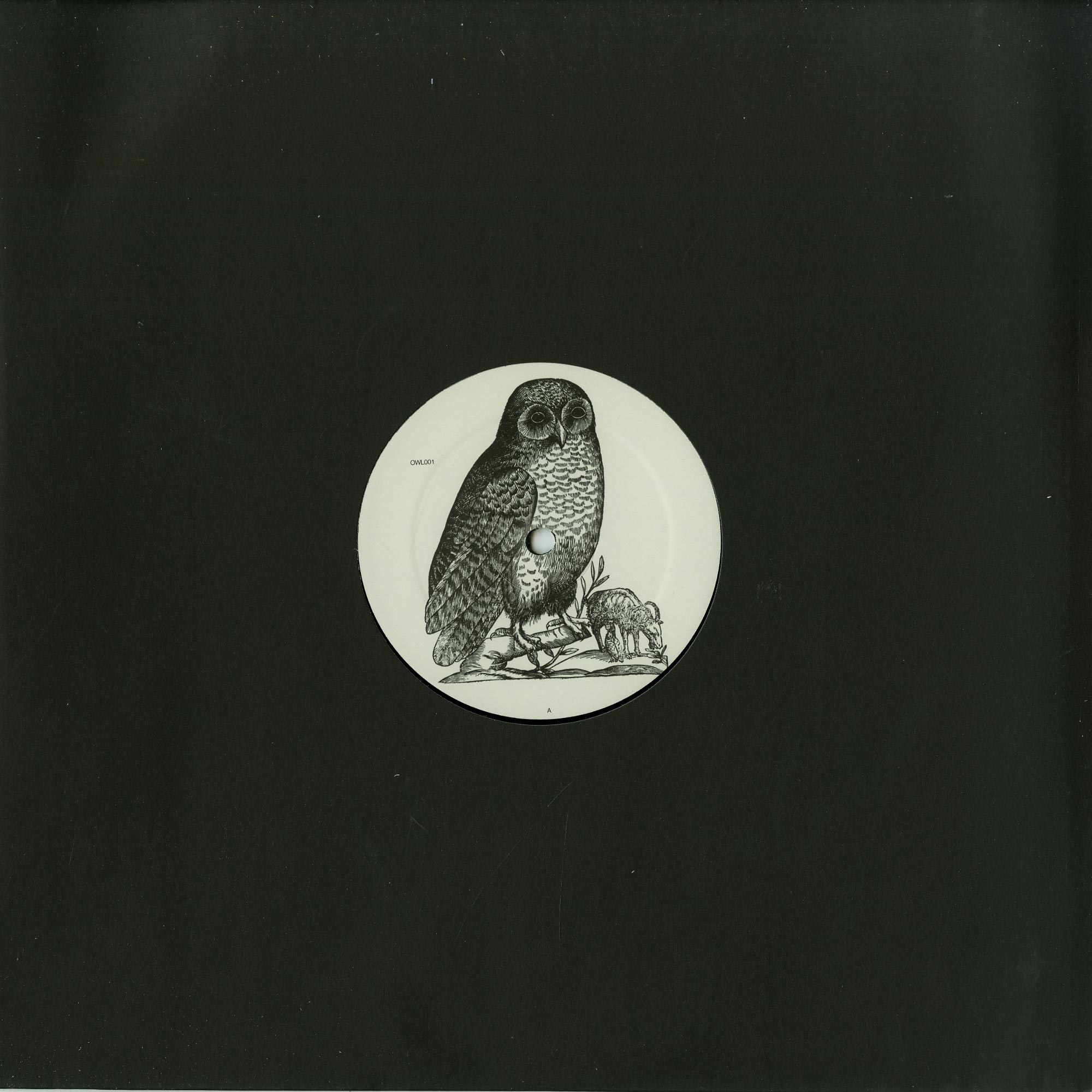 image cover: Unknown Artist - Untitled / OWL001