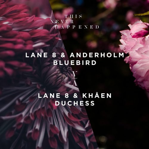 image cover: Lane 8, Anderholm, Khåen - Bluebird / Duchess / TNH009