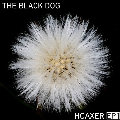 image cover: The Black Dog - Hoaxer EP 1 / DUSTDL057