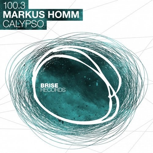 image cover: Markus Homm - Calypso / BRISE10003