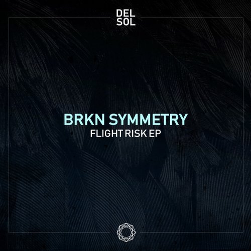 image cover: BRKN Symmetry - Flight Risk EP / SOL307