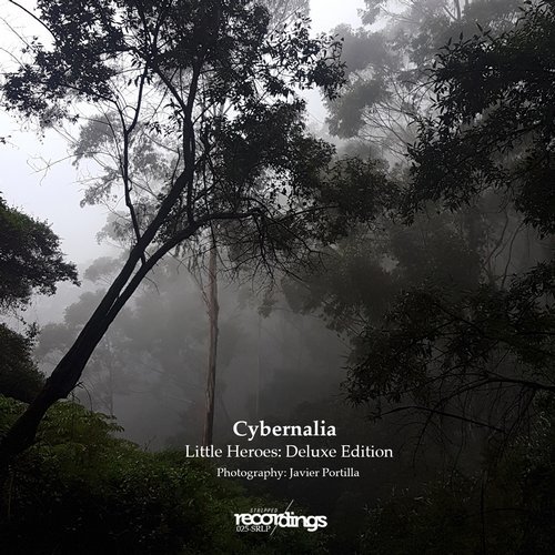 image cover: Cybernalia - Little Heroes: Deluxe Edition / 025SRLP
