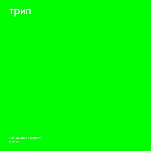 image cover: Bjarki - Oli Gumm / TRP021