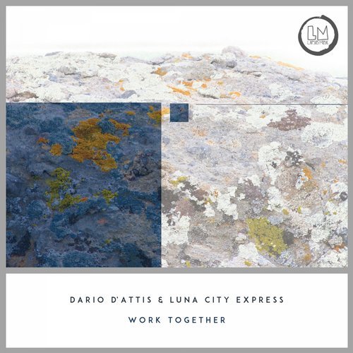 image cover: Luna City Express & Dario D'Attis - Work Together - EP / LPS229