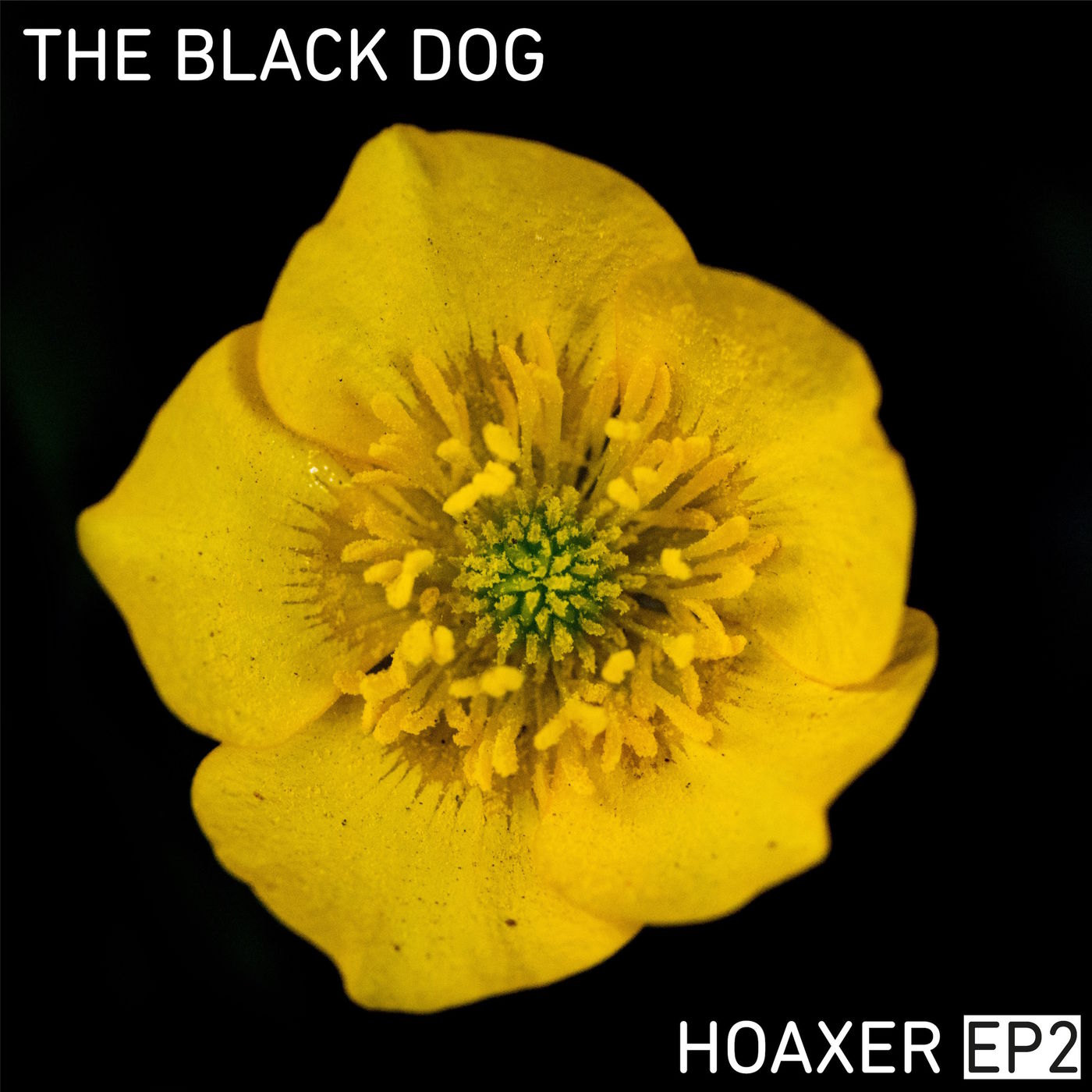010101179393 The Black Dog - Hoaxer EP 2 / Dust Science