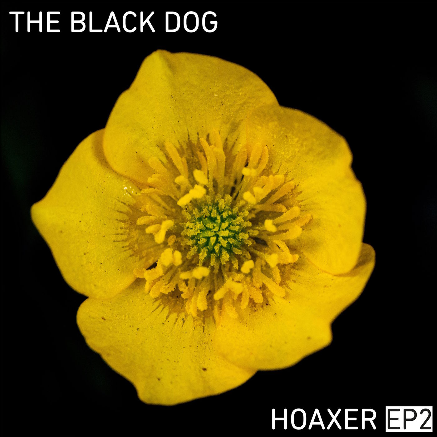 image cover: The Black Dog - Hoaxer EP 2 / Dust Science