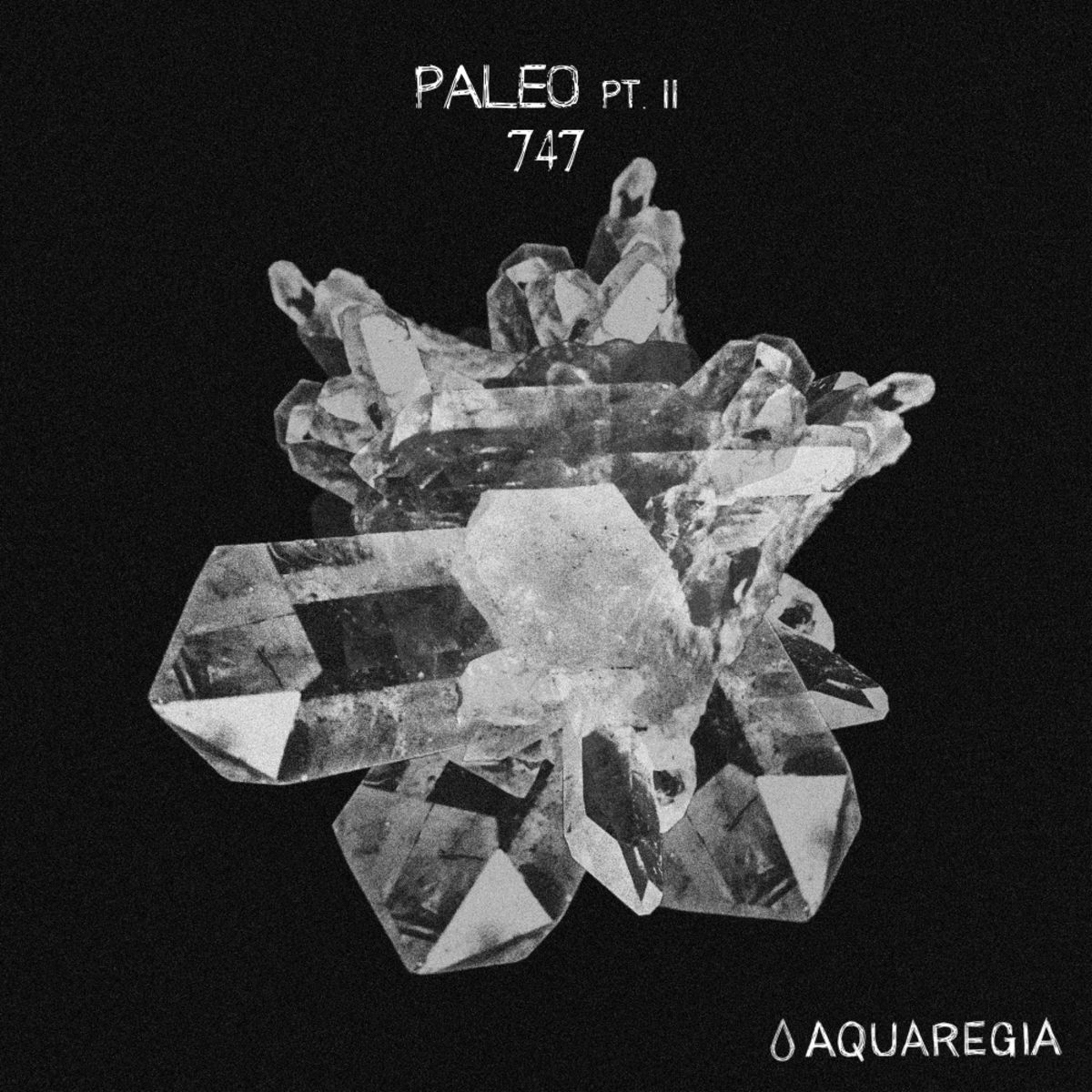 image cover: 747 - Paleo, Pt. 2 / Aquaregia Records