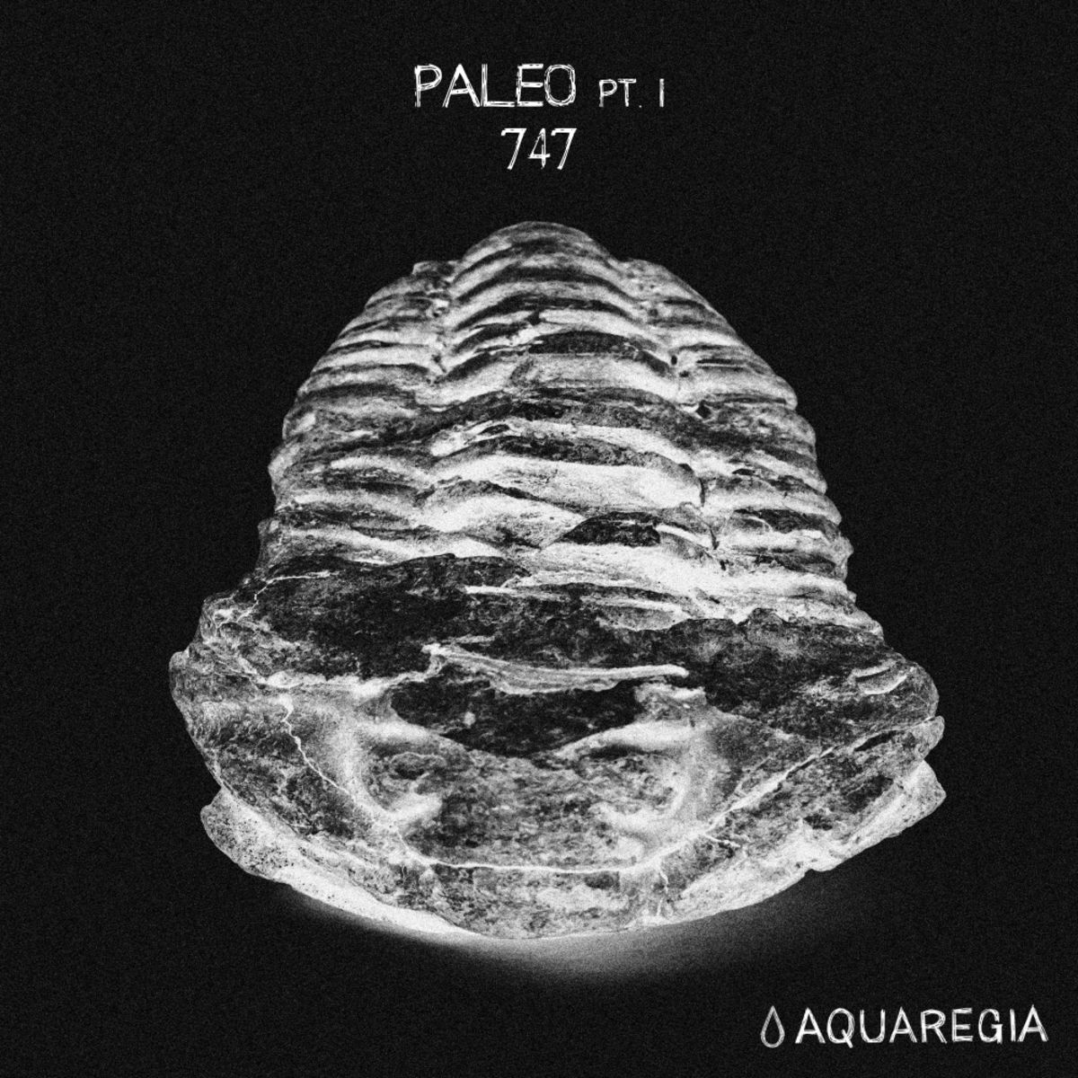 image cover: 747 - Paleo, Pt. 1 / Aquaregia Records