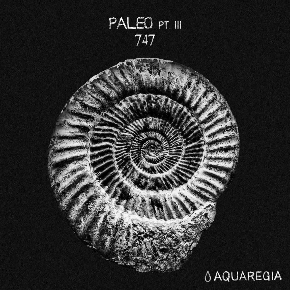 image cover: 747 - Paleo, Pt. 3 / Aquaregia Records