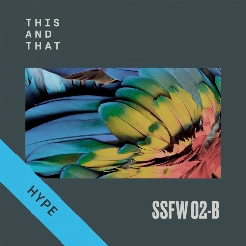 image cover: VA - SSFW #2B / TNTSSFW02B