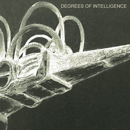 image cover: SCB - Degrees of Intelligence / CAI002