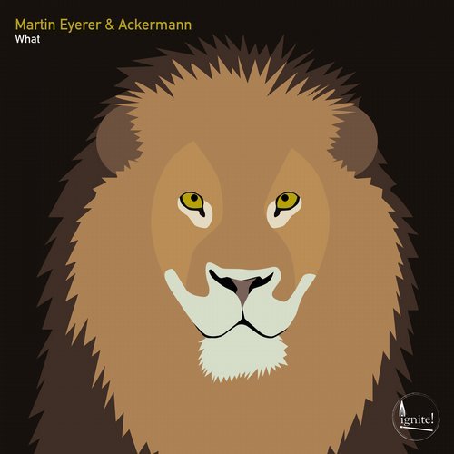 image cover: Martin Eyerer & Ackermann - What / 4206116122346