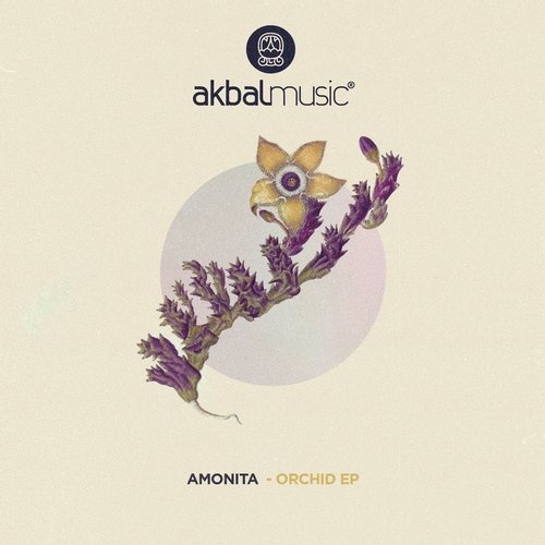 image cover: Amonita - Orchid EP / AKBAL157