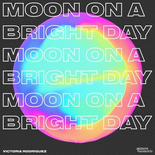 image cover: Victoria Rodriguez - Moon On A Bright Day / NS088
