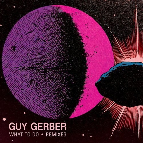 image cover: Guy Gerber - What To Do (Remixes) / RMS015