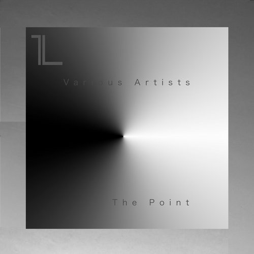 image cover: VA - The Point / PARALLEL054