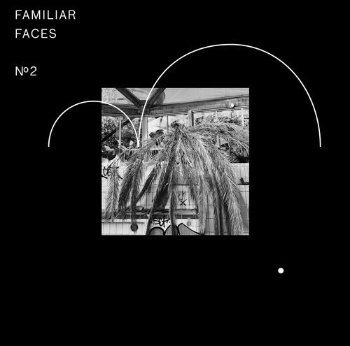 image cover: VA - Familiar Faces No2 / RVN015