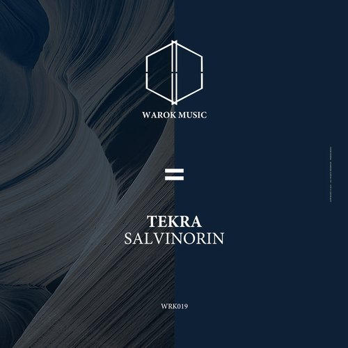 image cover: Tekra - Salvinorin / WRK019