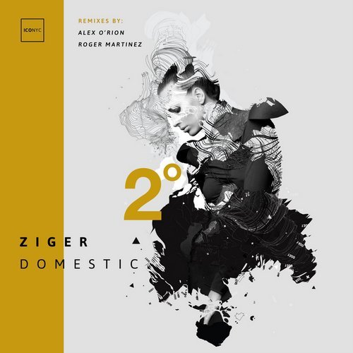 image cover: Ziger - Domestic / NYC113
