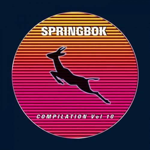 image cover: VA - Springbok Compilation, Vol. 10 / SBK142