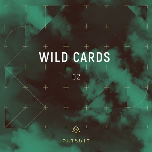 image cover: VA - Wild Cards 02 / PRST010