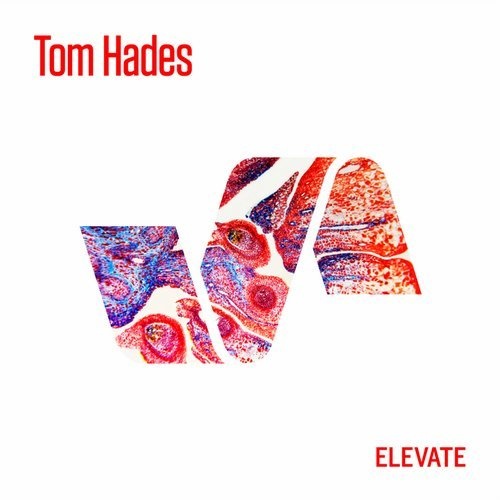 image cover: Tom Hades - Cloned EP / ELV107