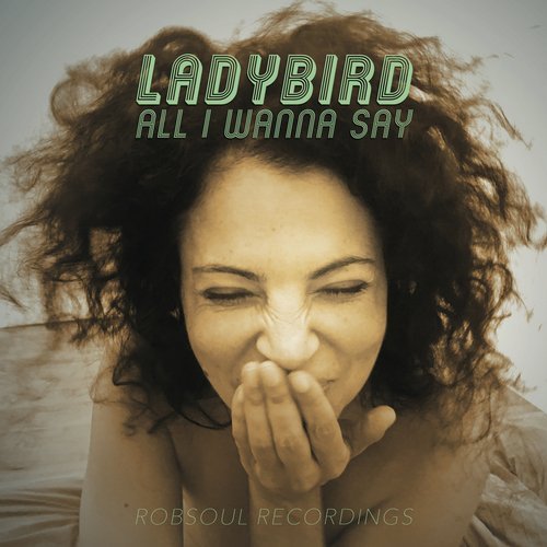 image cover: Ladybird - All I Wanna Say / RBLP06