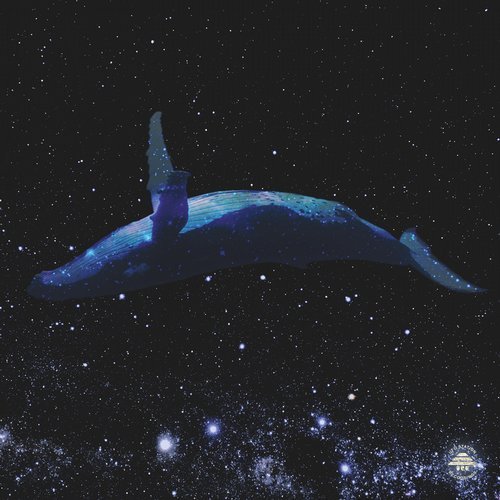 image cover: Hans Berg - Whales / UFO003