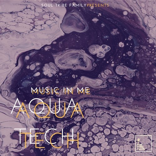 image cover: AquaTech - Music In Me (EP) / STF001