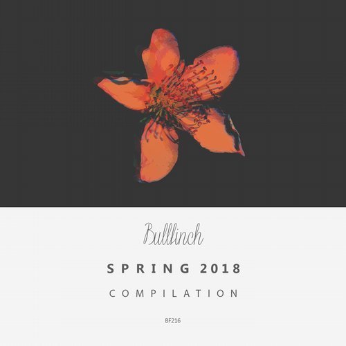 image cover: VA - Bullfinch Autumn 2018 Compilation